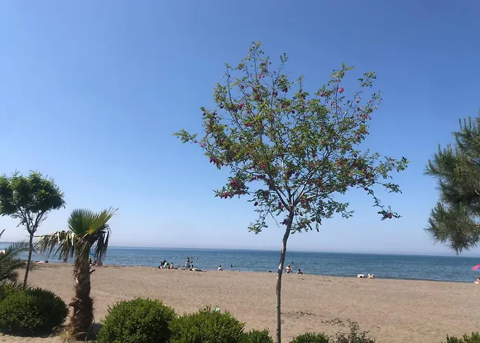 Mario, Shengjin (Lezhe)